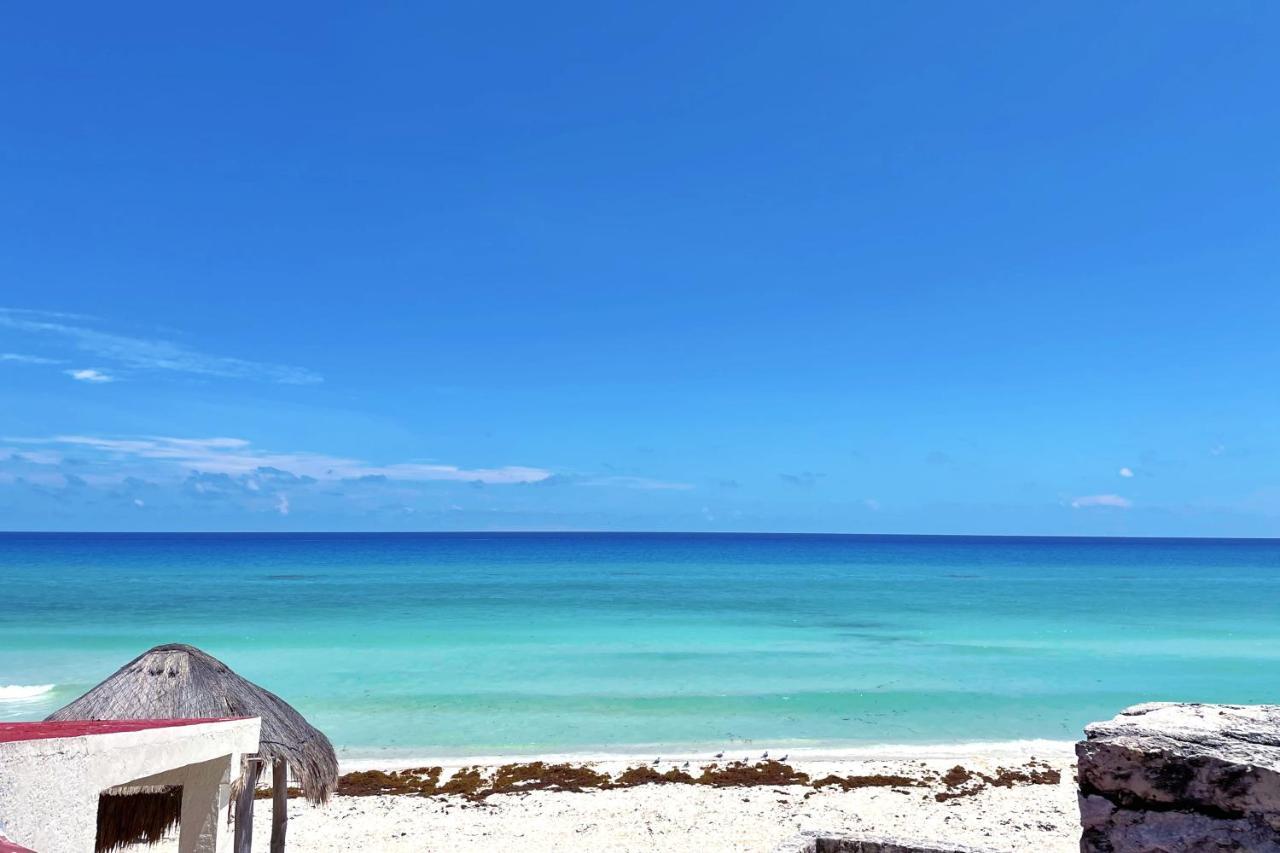 Renovated Studio In Cancun Beach At The Hotel Zone Dış mekan fotoğraf