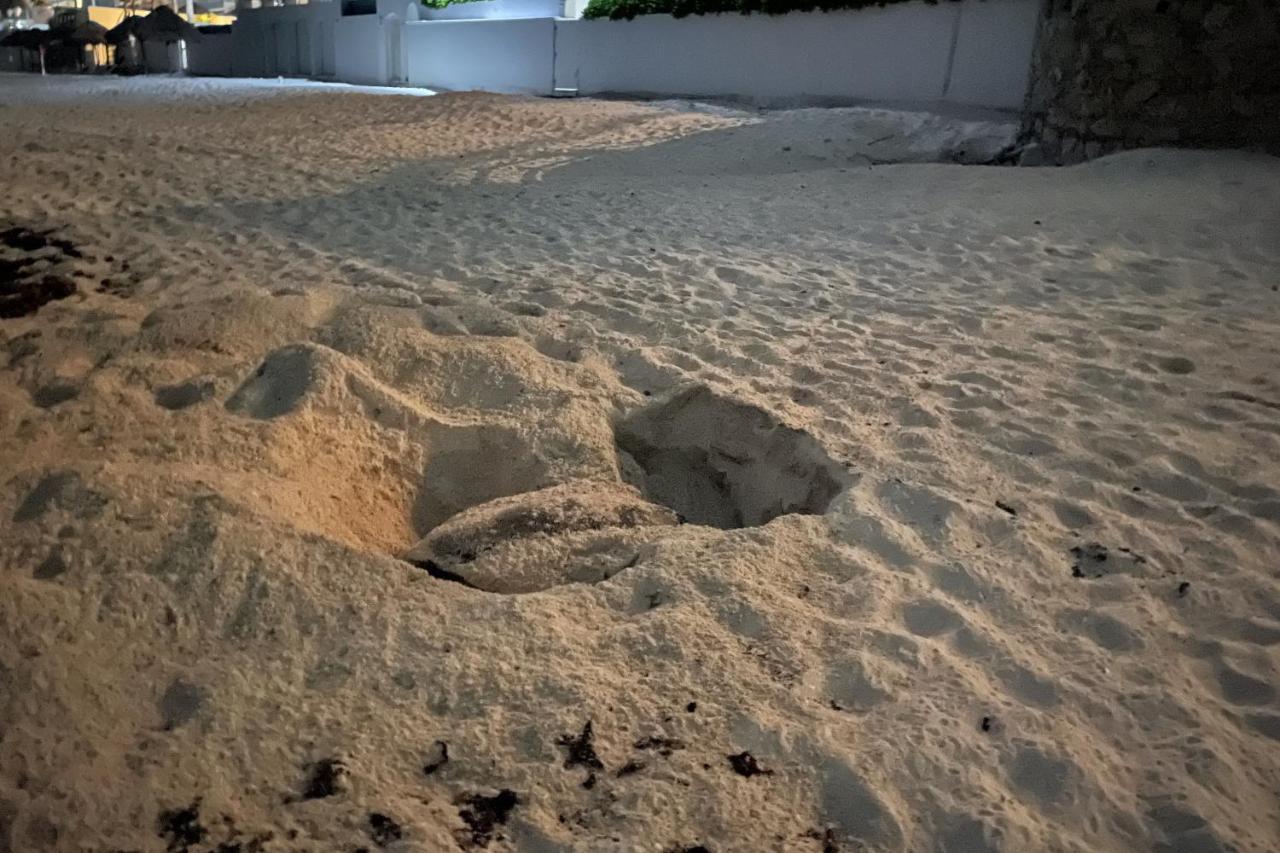 Renovated Studio In Cancun Beach At The Hotel Zone Dış mekan fotoğraf