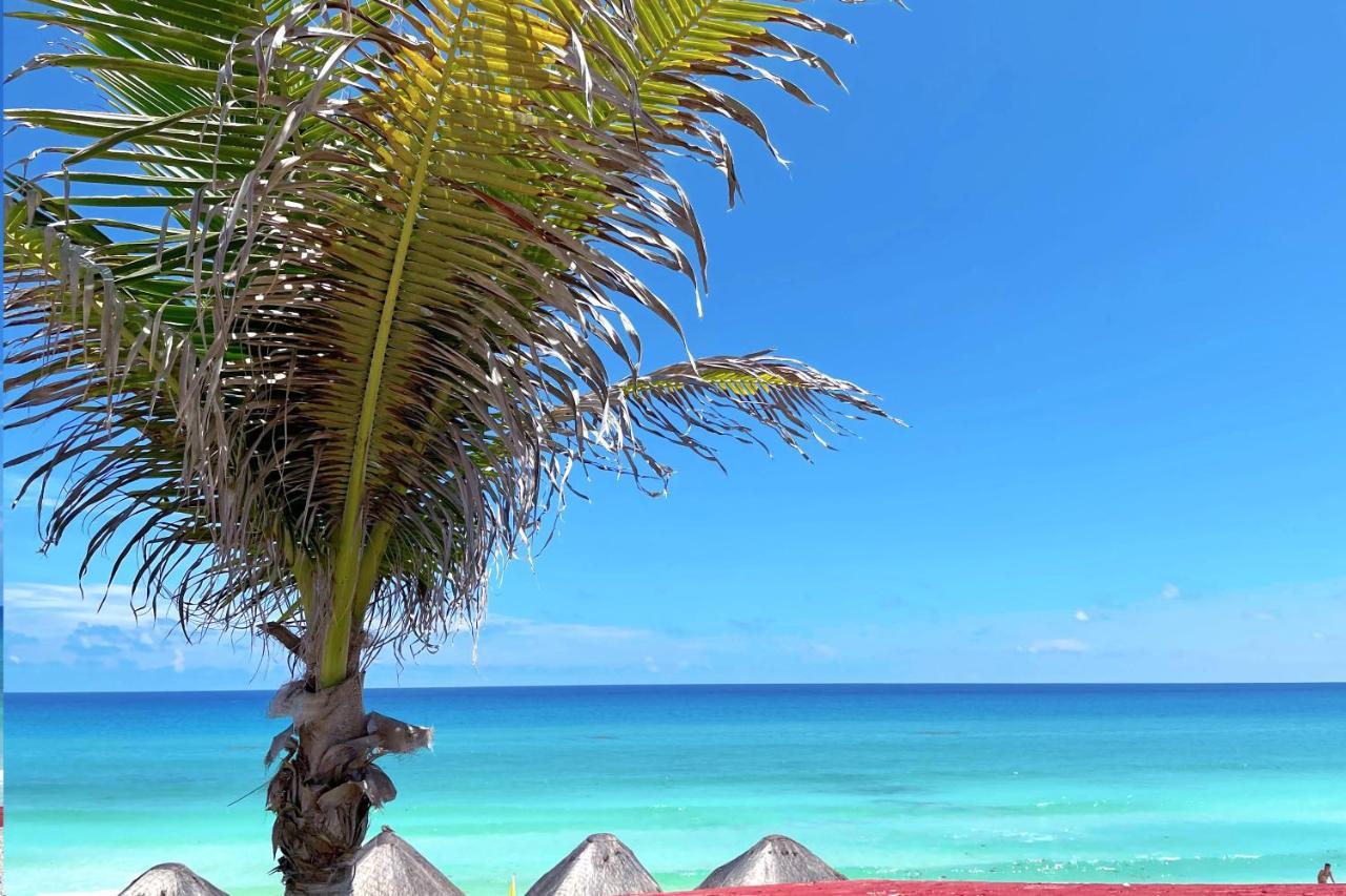 Renovated Studio In Cancun Beach At The Hotel Zone Dış mekan fotoğraf